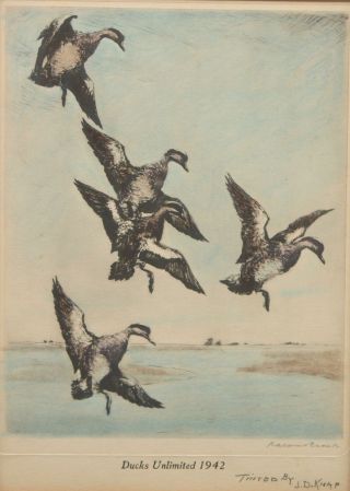 Series 11 Antique Ducks Unlimited Federal Duck Stamp Hand Tinted Prints 1939 - 49 4