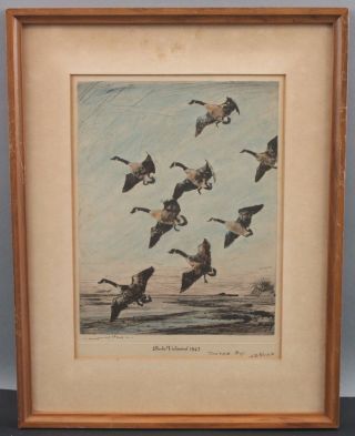 Series 11 Antique Ducks Unlimited Federal Duck Stamp Hand Tinted Prints 1939 - 49 8