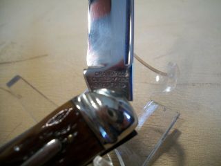 Antique Rare Crandal Cut.  Co.  Bradford Pocket Knife,  1905 - 1912, 4