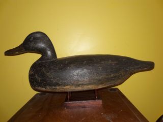 Vintage 1920 Black Duck Decoy Joe Tom Cranmer Manahawkin,  Nj Scratch Op