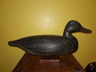 Vintage 1920 Black Duck Decoy Joe Tom Cranmer Manahawkin,  NJ Scratch OP 2