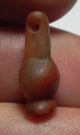 Zurqieh - As11861 - Ancient Egypt,  18th Dynasty Carnelian Poppy Seed Bead.  1400 B.  C