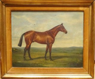 Large Early 20th Century English Bay Hunter Horse Portrait Antique Oil Painting