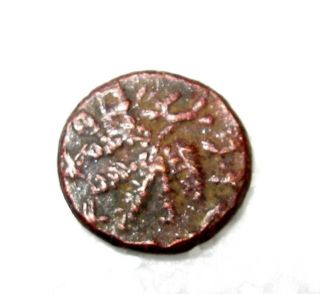 Ancient Bronze Coin Masada First Jewish Revolt.  7
