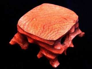 Wooden Crafted Tree Log Shaped Stand For Netsuke Cup Fig Tea Ceremony 01011904