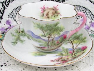 Shelley Trees River Mountain Scene Pink Handle Tea Cup And Saucer