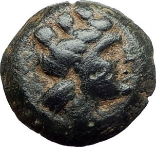 Arados Phoenicia Authentic Ancient 242bc Greek Coin Tyche & Athena Galley I75521