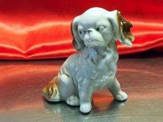 Antique Foreign Porcelain Pekingese Peke Cavalier King Charles Spaniel Dog