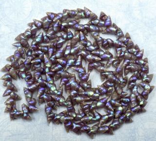 Vintage & Rare Aboriginal Tasmanian Iridescent Purple Maireener Shell Necklace