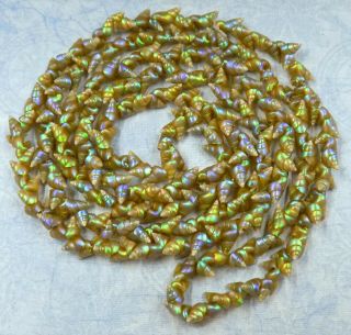 Vintage & Rare Aboriginal Tasmanian Iridescent Green Maireener Shell Necklace
