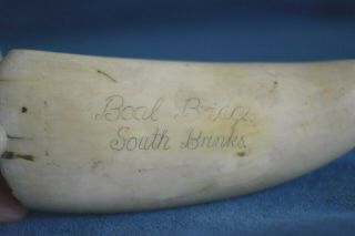 Vintage Faux Resin Boal Bridge South Brinks Maritime Whaling SCRIMSHAW Tooth 3