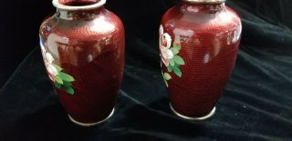 Fine Old Japanese Cloisonne Enamel Roses with Silver Rim 5 