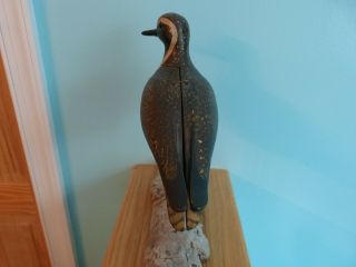 GOLDEN PLOVER SHORE BIRD DECOY BY STEVE MOREY SUITCASE STYLE 2