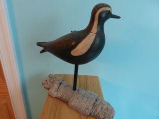 GOLDEN PLOVER SHORE BIRD DECOY BY STEVE MOREY SUITCASE STYLE 3