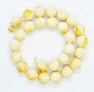 70g Antique Natural White Boney Baltic Amber Butterscotch Egg Yolk Bead Necklace