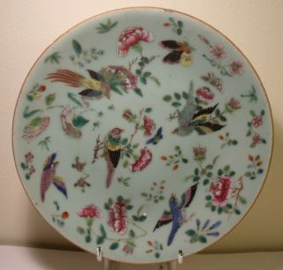 7.  75 " Chinese Celadon Famille Rose Plate (3)