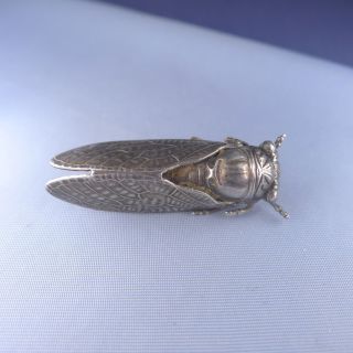 Rare Art Nouveau Sterling Silver Cicada Brooch / Antique Insect Lucky Pin 2