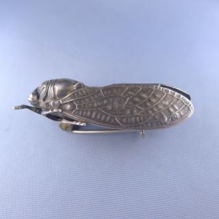 Rare Art Nouveau Sterling Silver Cicada Brooch / Antique Insect Lucky Pin 4