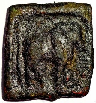 Ancient - Indo Greek - Apollodotus Ii - Rare Chalkous (80 - 65 Bce) Obv.  Bull Apl1