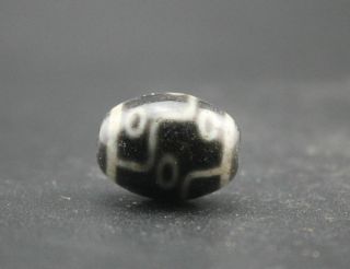 21 16MM Oriental Vintage Unusual Agate Tibetan Old 9 eyes dzi Bead 5