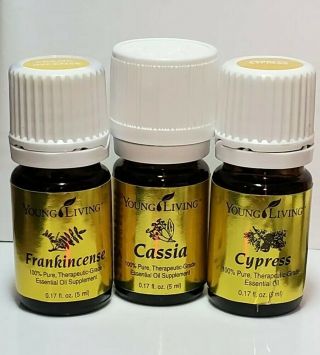 Frankincense & Cassia - Young Living - Oils Of The Bible (ancient Scripture)
