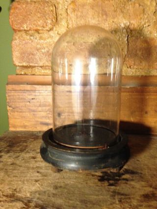 Antique Victorian 6 " Glass Dome Display Cover W/ Wooden Base