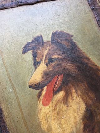 Vintage Antique Collie Dog Oil Painting Portrait Lassie Primitive Folk Art 30’s 4