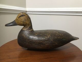 Vintage Doug Jester Carved Black Duck Decoy Chincoteague Virginia 3
