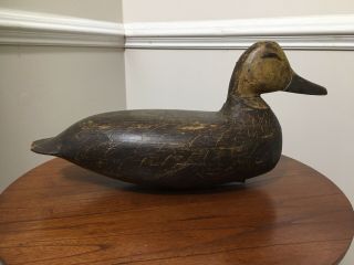 Vintage Doug Jester Carved Black Duck Decoy Chincoteague Virginia 4