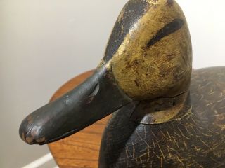 Vintage Doug Jester Carved Black Duck Decoy Chincoteague Virginia 7