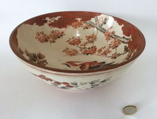 Antique 19th C Japanese Kutani Porcelain Bowl,  24 Cm,  Signed,  Flowers & Bird