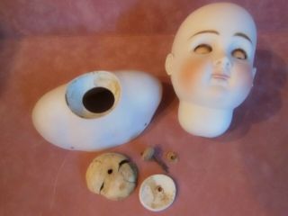 ANTIQUE A.  T.  TYPE KESTNER DOLL HEAD CLOSED MOUTH MARKED 15 2