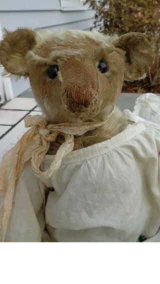 Well loved and Precious 16 in.  Antique Steiff Bear 3