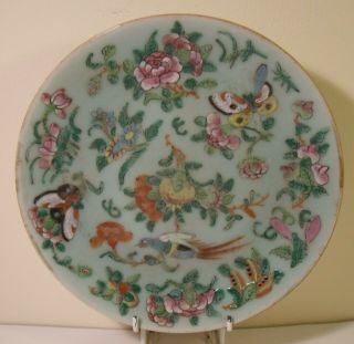 7.  5 " Chinese Celadon Famille Rose Plate