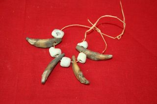 Ancient Native Alaskan Eskimo Inuit Shamanic Or Hunting Charms And Beads Kodiak