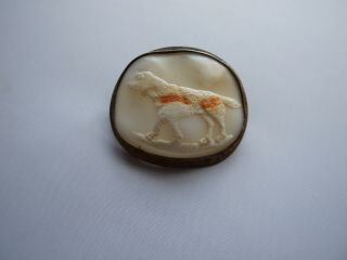 UNUSUAL ANTIQUE VICTORIAN CAMEO OF A DOG BROOCH 2