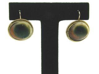 18 Ct Gold Georgian Operculum Shiva Eye Shell Earrings French Hook French Hook