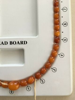 Vintage Natural Amber Oval Graduated Bead Necklace 28 