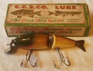 Vintage Rare Creek Chub Wigglefish (2404) In Golden Shiner