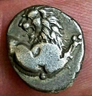 Lion Leaping,  Chersonesos,  Thrace.  4th Century B.  C Ancient Greek Silver Coin