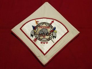 Vintage Order Of The Arrow Boy Scout Bsa Tsyedin Lodge 65 Neckerchief