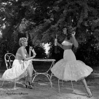Rare 1954 Bettie Page Camera Negative Fashion Petticoat Erotica Bunny Yeager Nr