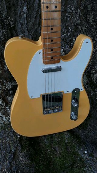2013 Fender 50 