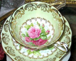 Eb Foley Pistachio Lime Floating Pink Roses Gold Tea Cup And Saucer Bone China