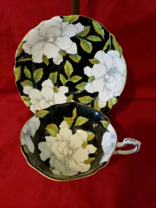 Paragon HM The Queen Mary Large White Flowers Black Teacup Tea Cup & Saucer 2