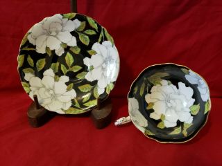 Paragon HM The Queen Mary Large White Flowers Black Teacup Tea Cup & Saucer 4