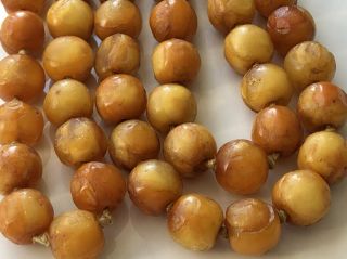 VERY RARE VERY OLD ANTIQUE BUTTERSCOTCH AMBER ROUND BEAD NECKLACE 122g 3