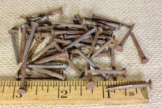 1” Old Square Nails 50 Real 1850’s Vintage Rusty Patina 3/16” Large Head Brads