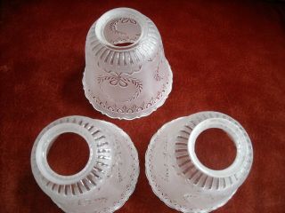 3 VINTAGE VICTORIAN ETCHED FROSTED GLASS CHANDELIER SHADES 3