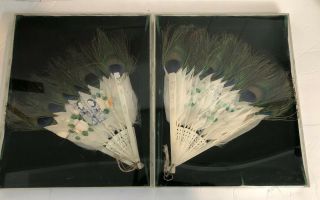 Antique 19th Century Chinese/japan Hand Fan Peacock Feathers Set Of Two